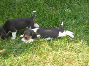 picture2798.jpg