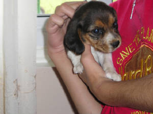 picture2801.jpg